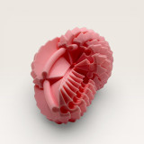 BLOSSOM – Smocze Jajo Fidget 3D 7,5cm